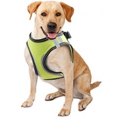 Colliers Pour Chiens Laisses Harnais Pour Chien Laisse Gilet Réglable  Réfléchissant Confortable Et Respirant Harnais De Sécurité Pour Animaux De  Compagnie Accessoires Pour Chiens 230829 Du 18,35 €