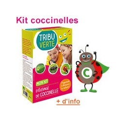 KIT ELEVAGE COCCINELLES