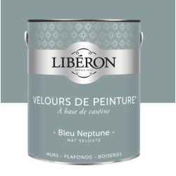 Velours de Peinture de Liberon 2.5 L