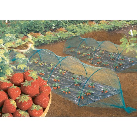 PanHuiWen Filet Protection Oiseaux Filets pour Jardin Potager pour Fruits,  Légumes, Arbres de Plantes Clôtures de Protection,1x10m
